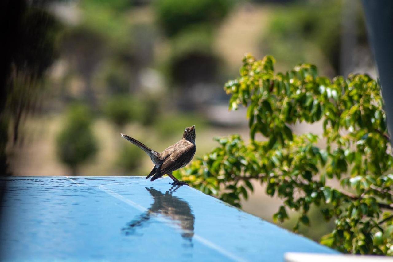 Domaine De Sweet Hill - 4 Villas Et 2 Studios Salines المظهر الخارجي الصورة
